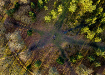 Aerial - Badbury Rings, Dorset