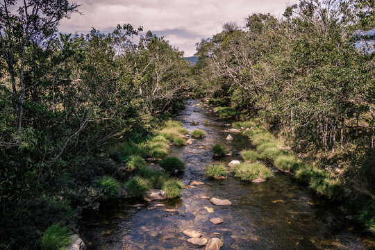 little river between trees at serra dos alves