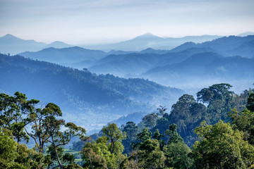 Mountains and Forest in Indonesia with HDR - obrazy, fototapety, plakaty