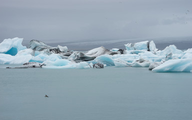 Im Süden Islands: Gletscherlagune Jökulsárlón im Vatnajökull-Nationalpark
