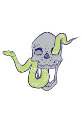 Skull with snake