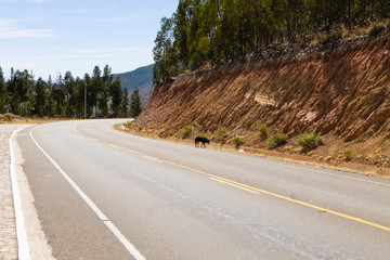 Bolivian road from Tarabuco to Sucre