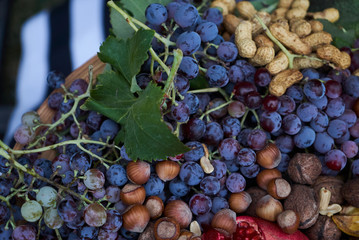 Fresh fruits colorful background, close-up. Healthy Food background concept . Top view. Copy space