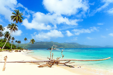 Ferien, Tourismus, Sommer, Sonne, Strand, Auszeit, Meer, Glück, Entspannung, Meditation, Palmen,...