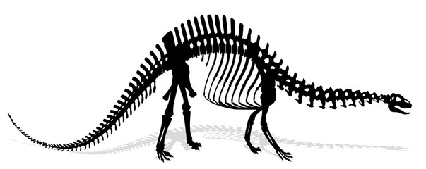Скелет большого древнего хищного динозавра. 
