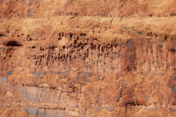 Red slickrock formation with tafoni or water holes found along the Colorado River outside of Moab Utah