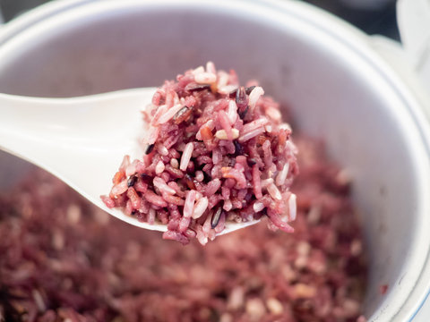 Close up of freshly cooked purple or black rice from a rice cooker. High in nutrients and good source of vitamin, mineral, antioxidant, anthocyanin, high in fiber. Healthy eating and eat well concept.