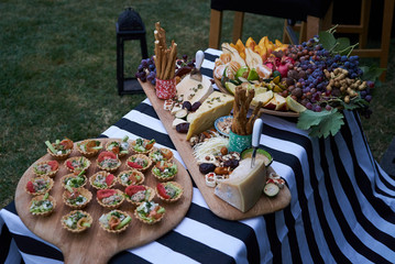 Snacks for beer with different food, close-up. Salty and cheese bar of several kinds of cheese, grapes, olives, nuts, fruits  decorated on table. Holiday party outdoors, picnic