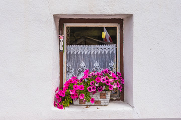Fototapeta na wymiar Fenster mit Blumen