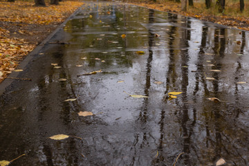 wet asphalt road