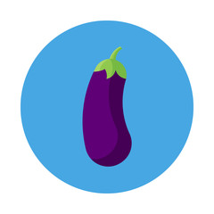 Eggplant flat icon isolated on blue background. Simple Eggplant symbol in flat style, vector illustration for web and mobile design.