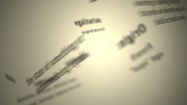 Definition: Egalitarian 