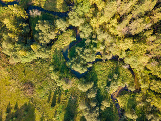 Aerial view of the autumn forest and small river