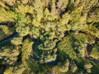 Aerial view of the autumn forest and small river