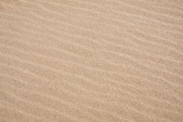Fototapeta na wymiar Details of Wave Pattern on a Sandy Beach