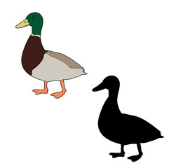 duck, goose, silhouette