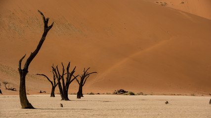 Deadvlei  Sossusvlei Namibia 