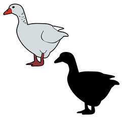 vector, isolated duck, goose