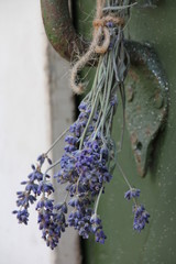 Lavendelbündel an Holztür