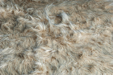 A spread of furry brown animal skin rug as image background.
