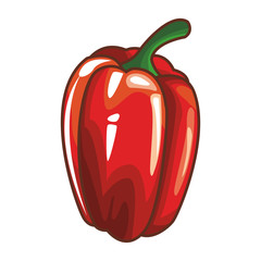 Pepper vegetable isolated