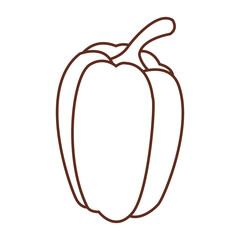 Pepper vegetable isolated