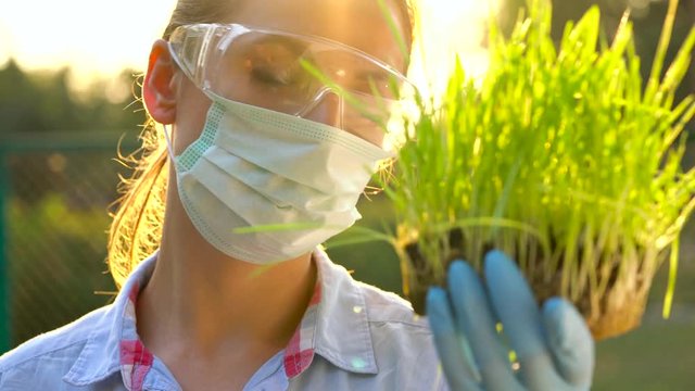 Woman agronomist in goggles and a mask examines a sample of soil and plants