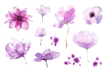 Fototapeta na wymiar flowers watercolor set