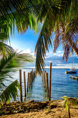 Fototapeta na wymiar Palm fronds hang in front of the unfinished pier on the tiny Caribbean Island of Tobacco Caye in Belize's barrier reef