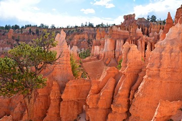 bryce canyon national park