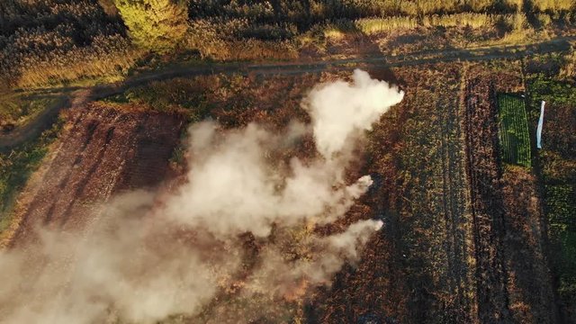 Burning dry grass with white smoke on farm field in autumn, agricultural controlled fire, aerial or top view