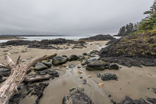 Schooners Beach Tofino