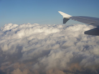 View on an airplane wing