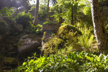 Fototapeta na wymiar View in the garden of Sintra