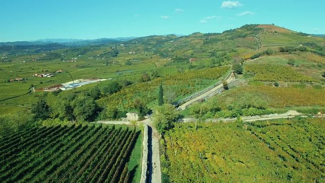 Aerial nature landscape beautiful hills and vineyards of Soave, Italy.