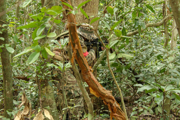 airsoft