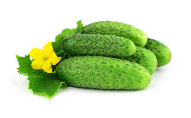 Isolated Gherkin Cucumbers.