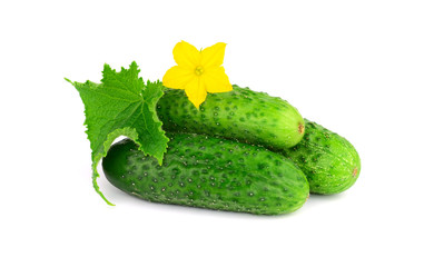 Isolated Gherkin Cucumbers.