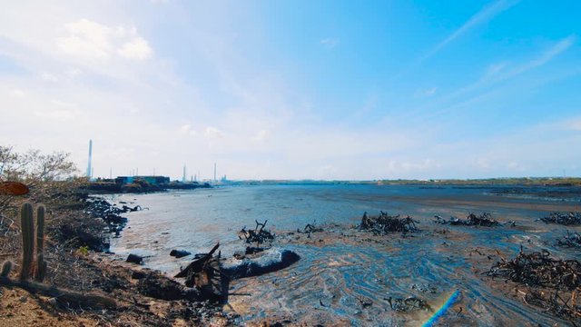 Mangroves destroyed and covered in crude oil in asphalt Lake, Curacao