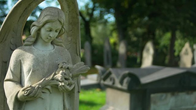 upward shot of cemetery statue angel