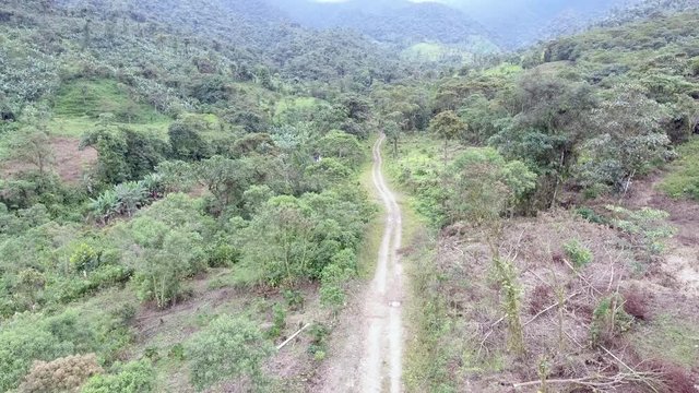 Flying over a track leading through montane rainforest on the western slopes of the Andes  Carchi province in Ecuador. Patches of forest have been cleared for subsistence agriculture.