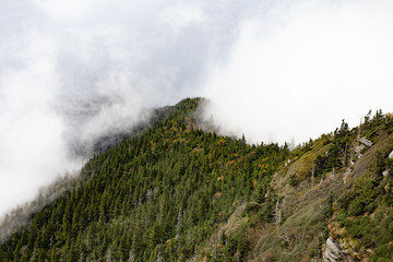 Scenics in the Great Smoky Mountains from Alum Cave trail to Mount Le Conte