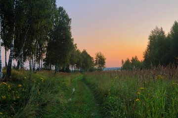 footpath in the field