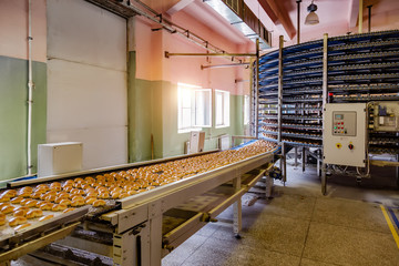 Automated round conveyor machine in bakery food factory, cookies and cakes production line