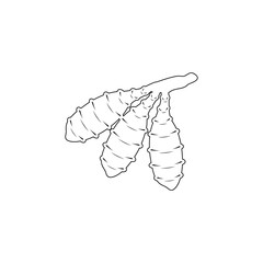 root crop icon in outline style. One of roots collection icon can be used for UI, UX