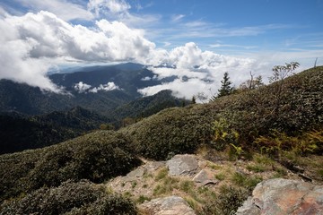 Scenics in the Great Smoky Mountains from Alum Cave trail to Mount Le Conte