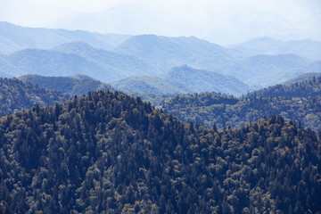 Scenics in the Great Smoky Mountains from Alum Cave trail to Mount Le Conte