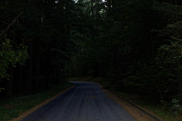 Naklejka premium evening road in the autumn forest