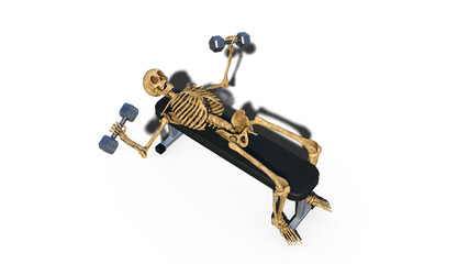 Funny skeleton lifting weights on bench, human skeleton exercising on white background, 3D rendering