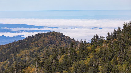Scenics in the Great Smoky Mountains from Alum Cave trail to Mount Le Conte